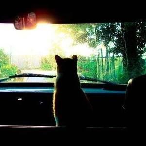 Meet your Posher, Bretta